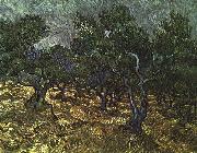 Vincent Van Gogh The Olive Grove china oil painting reproduction